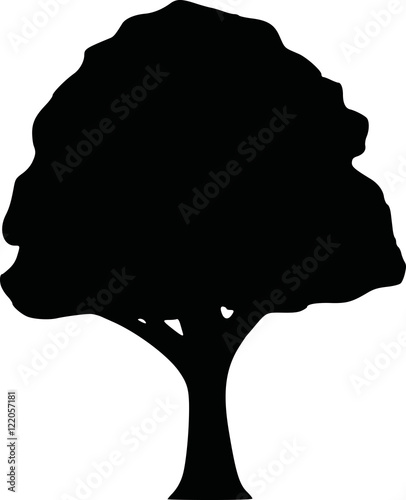 Silhouette of a deciduous tree