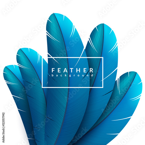 Blue feather background. Exotic bird feathers composition. Eps10 vector illustration.