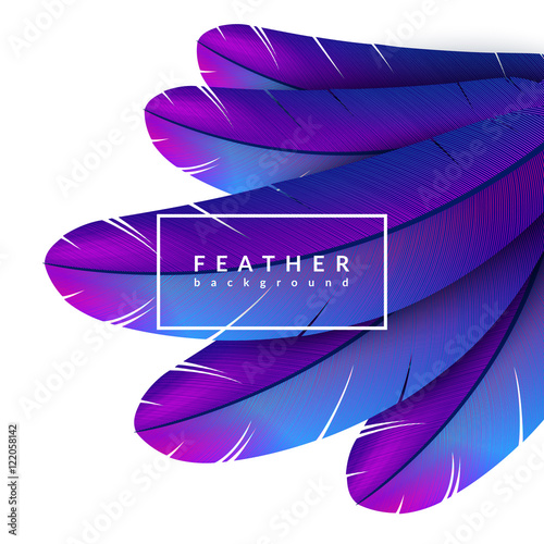 Colorful feather background. Exotic bird feathers composition. Eps10 vector illustration.