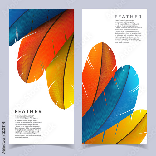 Colorful feather banners set. Beautiful bird feathers composition. Eps10 vector illustration.