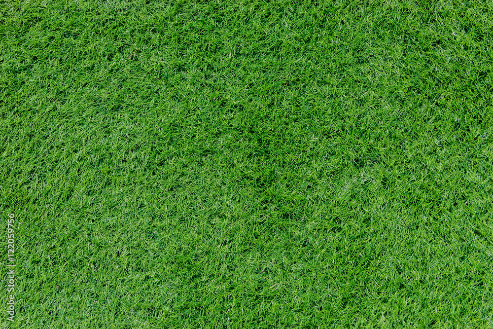 Obraz premium Green grass field, texture background