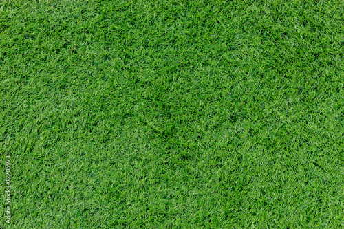 Green grass field, texture background