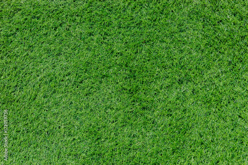 Green grass field, texture background