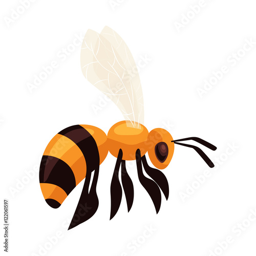 Flying honey bee, cartoon style vector illustration isolated on white background. Realistic drawing of a bumble bee flying to the hive, apiary icon