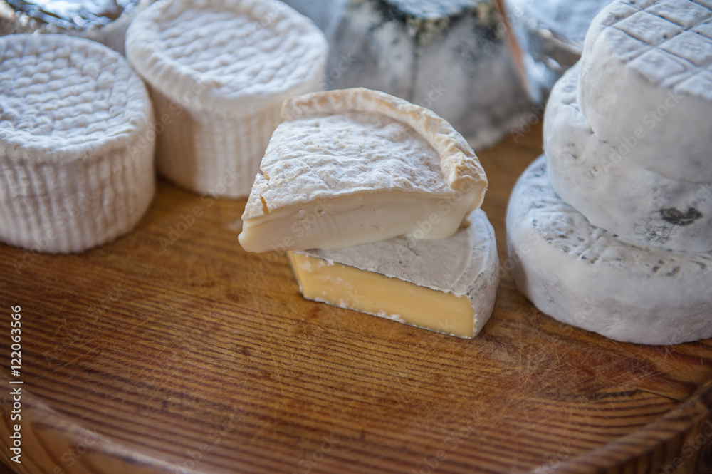 Set of different cheese Set of different cheese