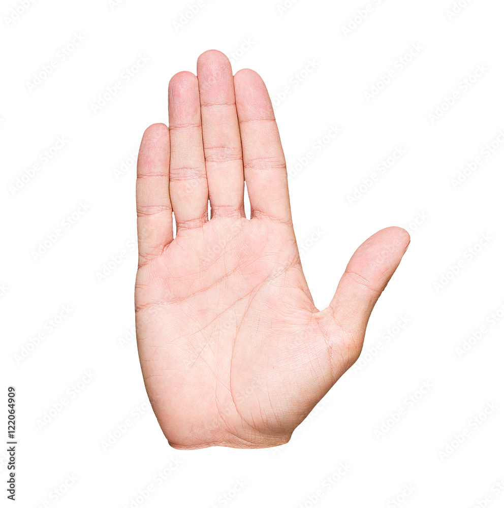 Palm of the hand Palm of the hand
