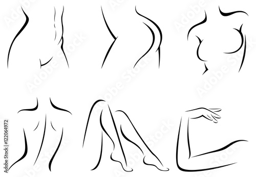 Set stylized female body parts vector illustration of a linear
