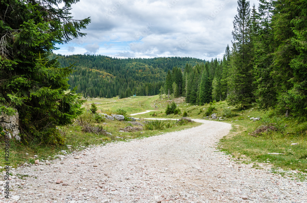 Fototapeta premium Unpaved Mountain Road Through a Forest and Cloudy Sky