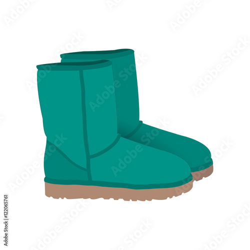 teal winter short boots vector