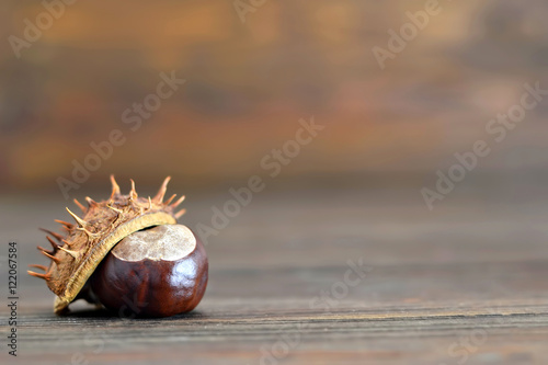 Chestnut on wooden background, closeup