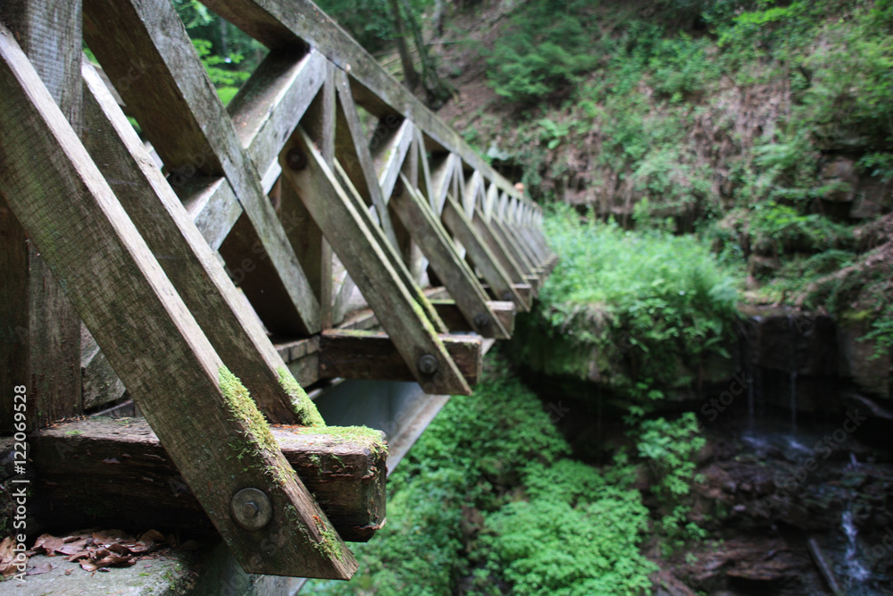 Fußgängerbrücke im Schwarzwald Fußgängerbrücke im Schwarzwald