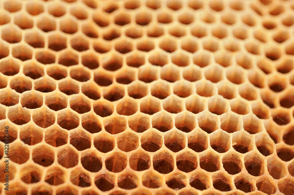 Honeycomb detail. 