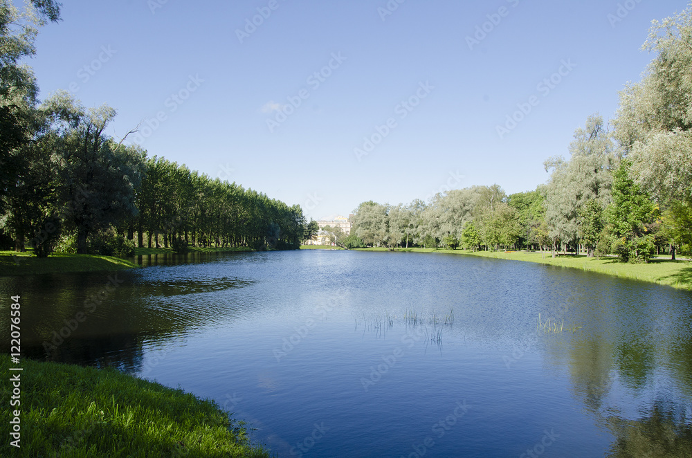 Reflection of trees in water Reflection of trees in water