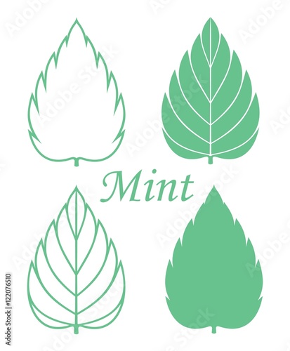Mint