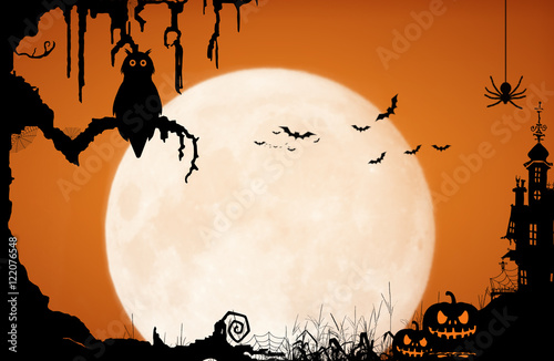 Halloween night background with moon, owl, spider, bat, pumpkin, castle and old tree.