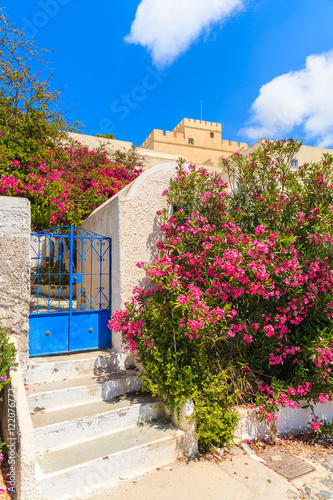 Blue gate decorated with flowers to typical Greek house in Firos photo