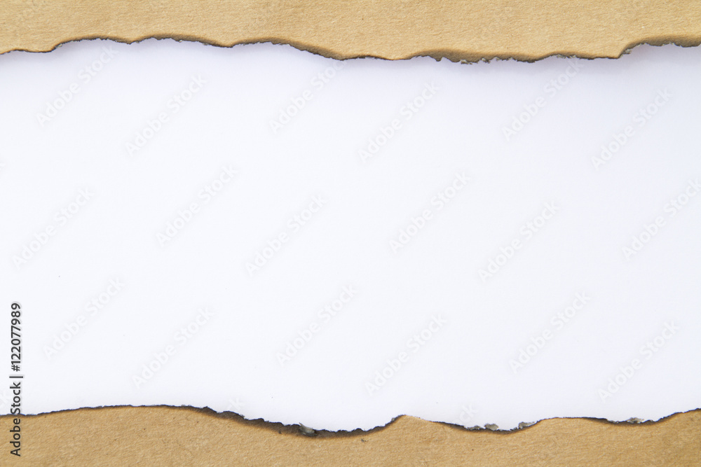 Blank burnt torn paper. Write your message.