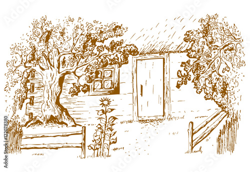 Old hut, vector illustration