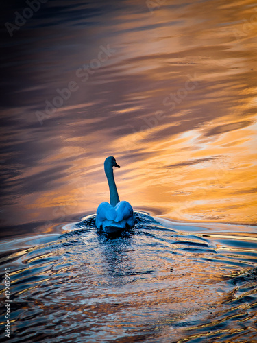 Canvas Print Dublin