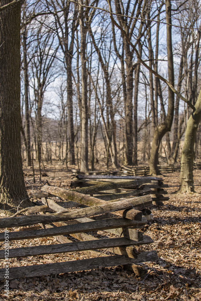 Split rail fence & bare trees in late autumn woods Split rail fence & bare trees in late autumn woods