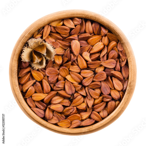 Photos Shelled beechnuts in a wooden bowl on white background, also called mast, with a burr