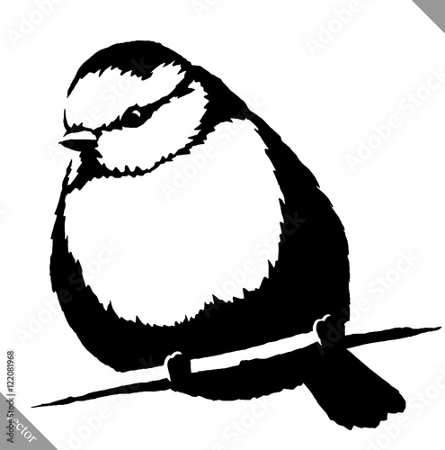 black and white paint draw tit bird vector illustration