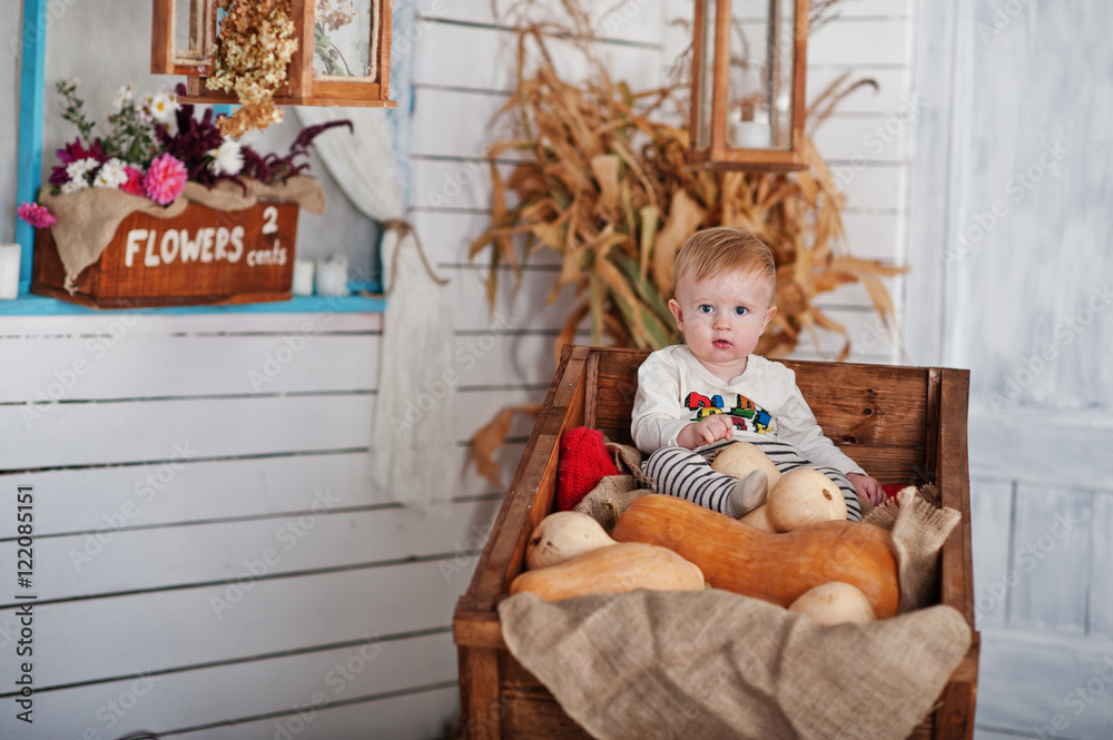 Young caucasian baby boy sitting on wheelbarrow and pumpkin deco Young caucasian baby boy sitting on wheelbarrow and pumpkin deco