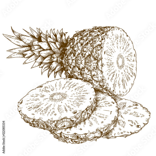 engraving illustration of pineapple and slices