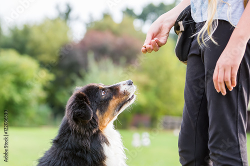 Foto girl gives a dog a treat