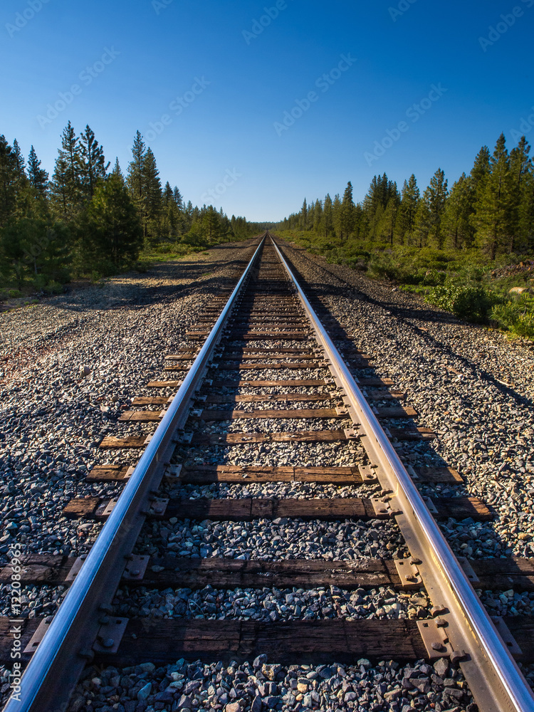 Fototapeta premium Train Tracks