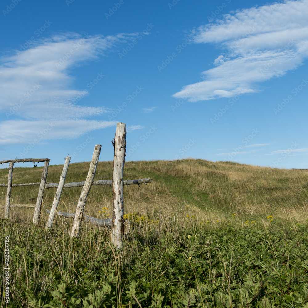 Fototapeta premium Fence on a grassy landscape, Newfoundland, Canada
