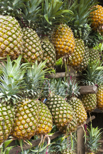 Fresh pineapple for sale in Guatemala, izabal