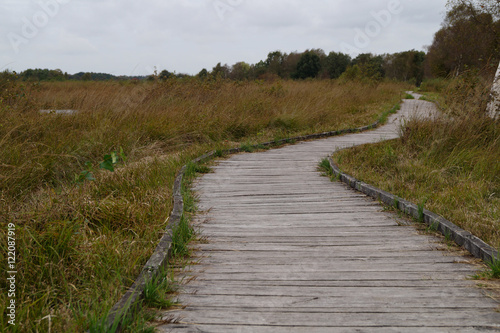 Natur in Ostfriesland am Ewigen Meer