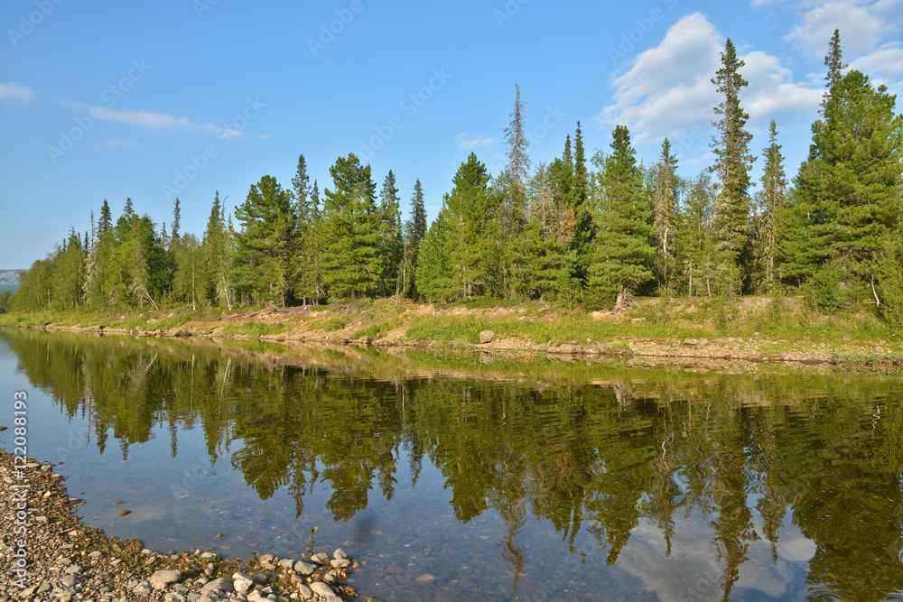 Summer river landscape in the national Park 