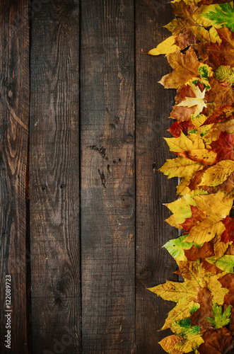 Autumn yellow red green leafs border frame on dark brown barn wood planks background. Vertical postcard template. Empty space for copy, text, lettering.
