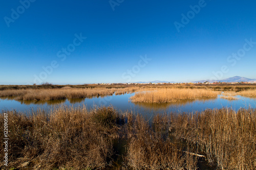 Castelvolturno (Caserta) - Variconi's natural Oasis