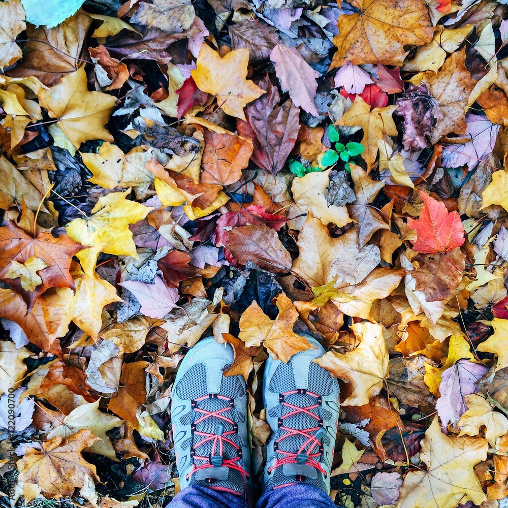 autumn leaves and feet