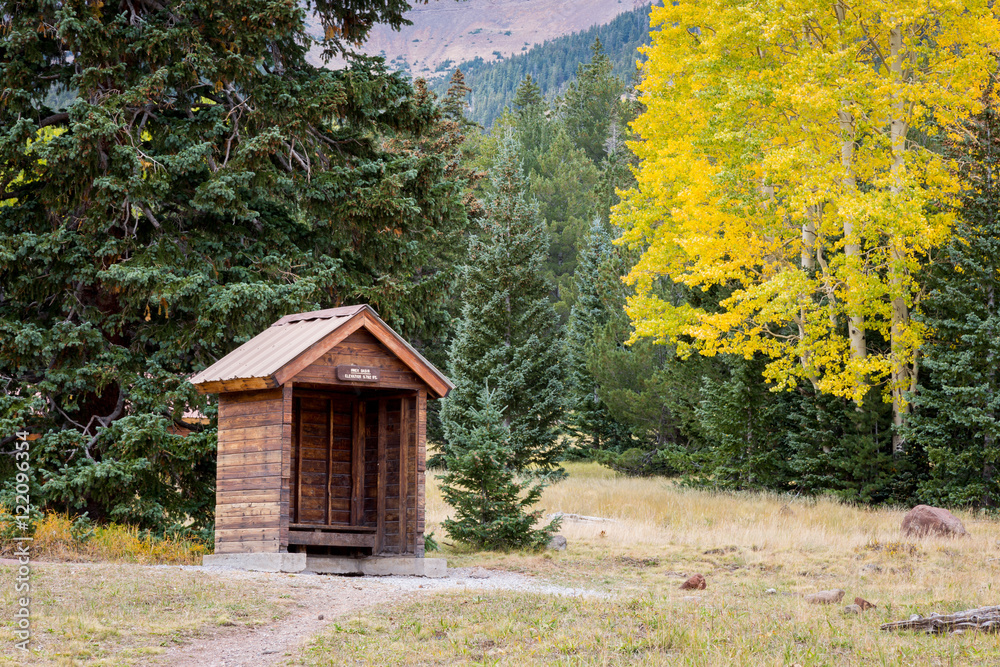 The Inner Basin Trail in Flagstaff Arizona. The Inner Basin Trail in Flagstaff Arizona.