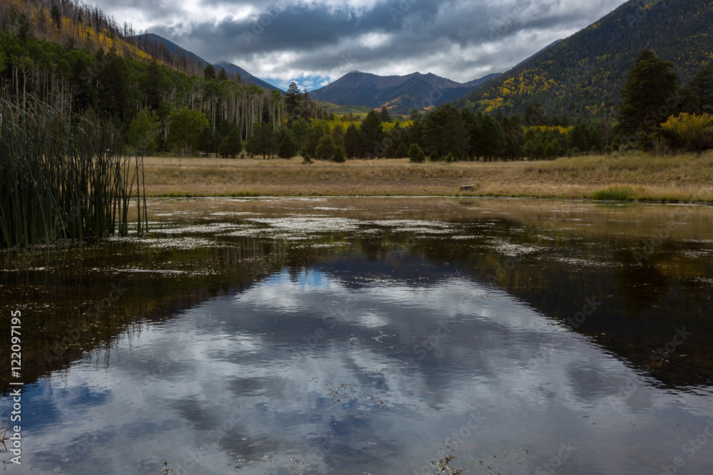 The Inner Basin Trail in Flagstaff Arizona. The Inner Basin Trail in Flagstaff Arizona.