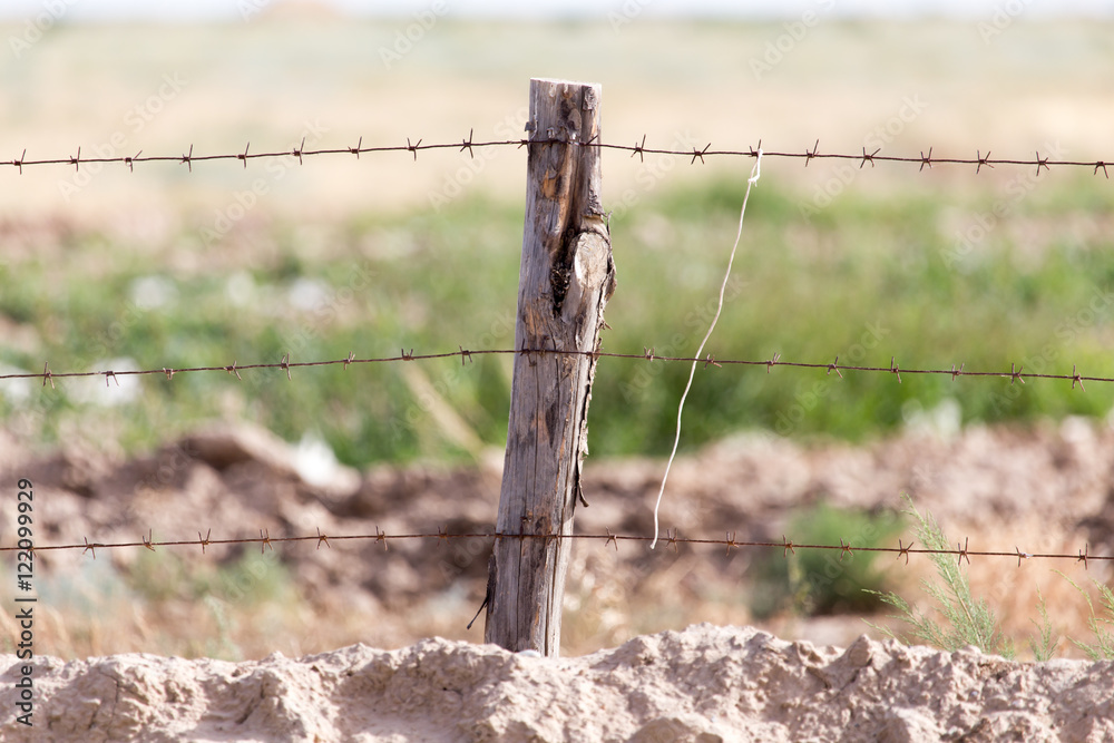 barbed wire fence in the nature barbed wire fence in the nature