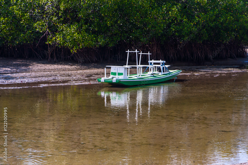 A boat moored to the riverbank.