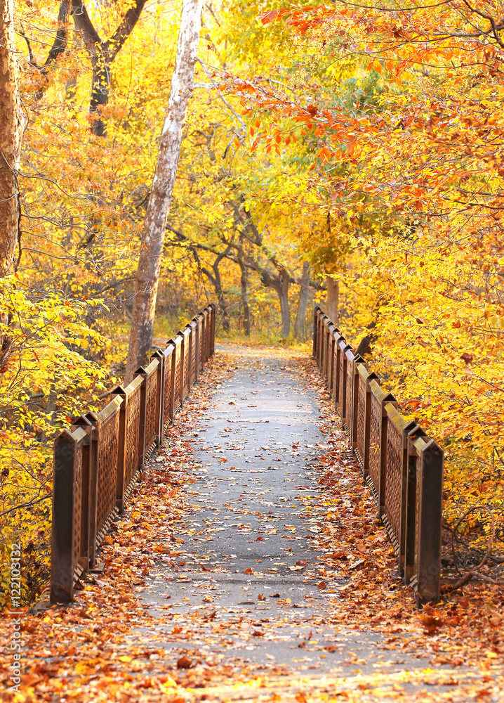 Naklejka premium Bridge in Autumn Park. Fall