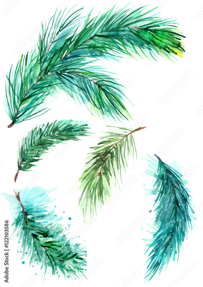 Set of watercolor isolated branches on a white background. Pine, spruce, fir, cedar, juniper, blue spruce. To design Set of watercolor isolated branches on a white background. Pine, spruce, fir, cedar, juniper, blue spruce. To design