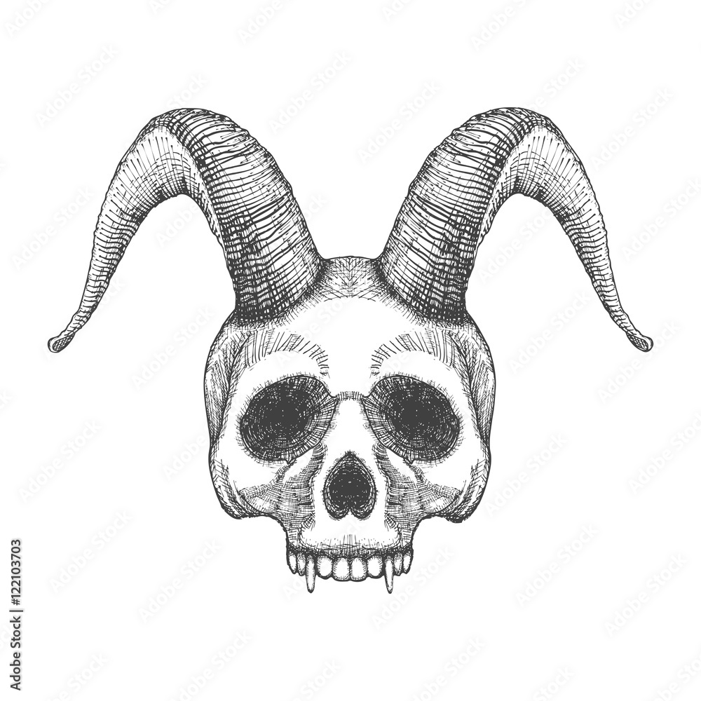 Skull with horns. Human skull with goat horns. Demon Head. A demon,  supernatural, malevolent. Witchcraft, occultism, mythology and folklore,  religion attribute. Horned human skull t shirt print. vector de Stock |  Adobe