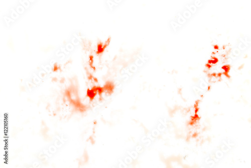 blood stains on a white background