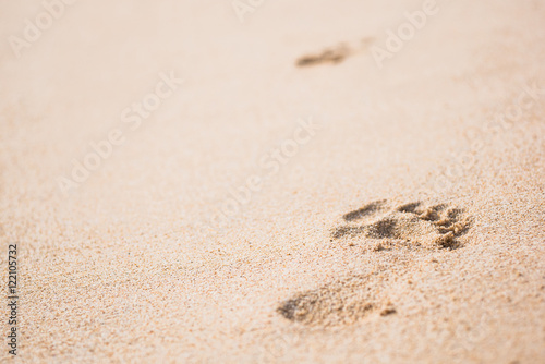 right footprint on sand at beach, selective focus
