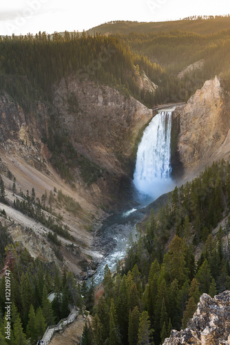 Lower falls of Yellowstone