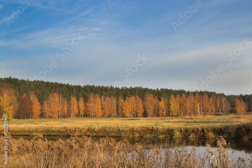 Autumn river bank with orange leaves on birches