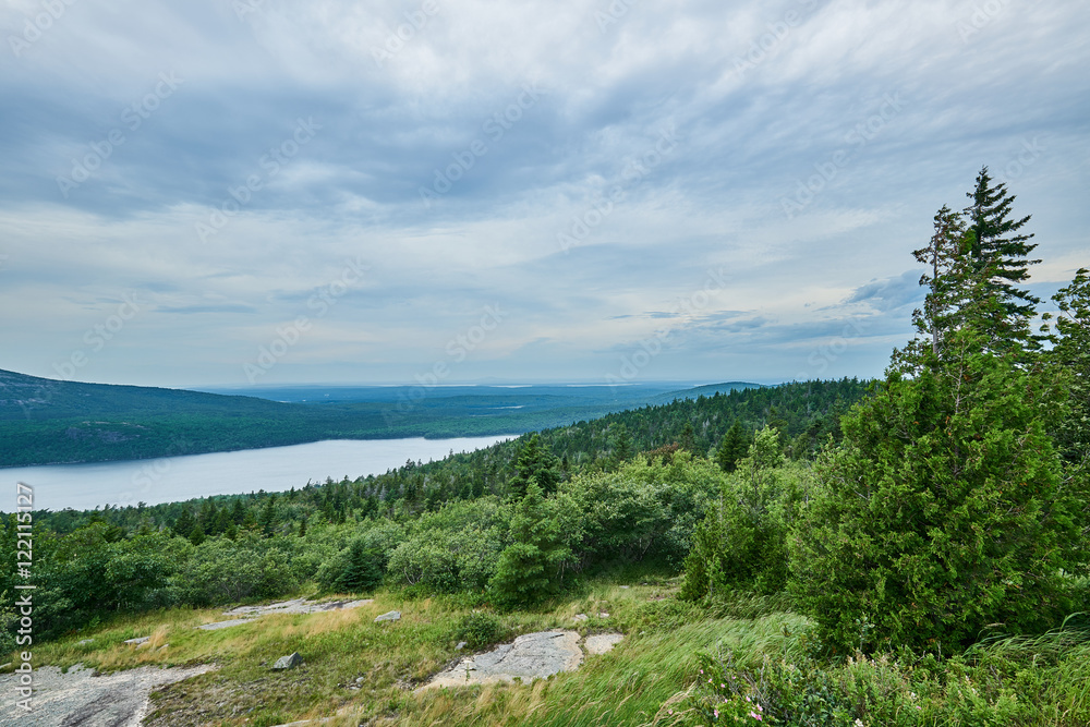 Forest and water at Acadia National Park Forest and water at Acadia National Park