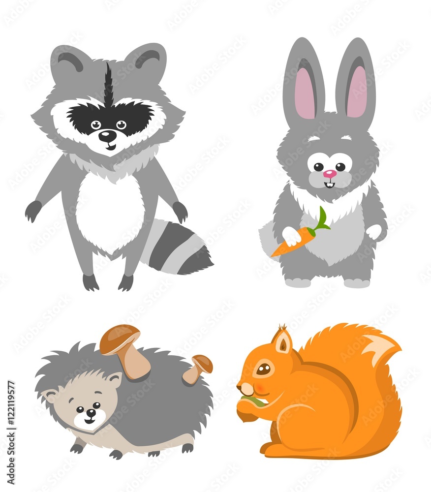 Fototapeta premium Cute Animal Squrrel, Hedgehog Racconn Hare